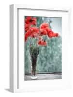 Bouquet of Poppies-tashka2000-Framed Photographic Print