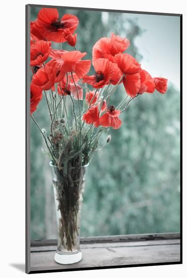 Bouquet of Poppies-tashka2000-Mounted Photographic Print