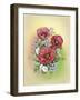 Bouquet of Poppies-Olga And Alexey Drozdov-Framed Giclee Print