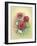 Bouquet of Poppies-Olga And Alexey Drozdov-Framed Giclee Print