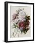 Bouquet of Red, Purple and White Peonies-Pierre Joseph Redouté-Framed Giclee Print