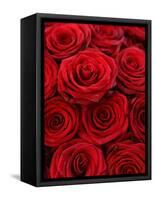 Bouquet of Red Roses-Owen Franken-Framed Stretched Canvas