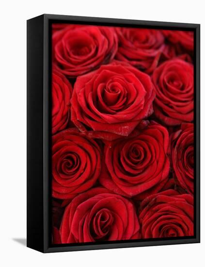 Bouquet of Red Roses-Owen Franken-Framed Stretched Canvas