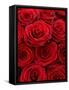 Bouquet of Red Roses-Owen Franken-Framed Stretched Canvas