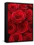 Bouquet of Red Roses-Owen Franken-Framed Stretched Canvas