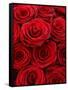 Bouquet of Red Roses-Owen Franken-Framed Stretched Canvas