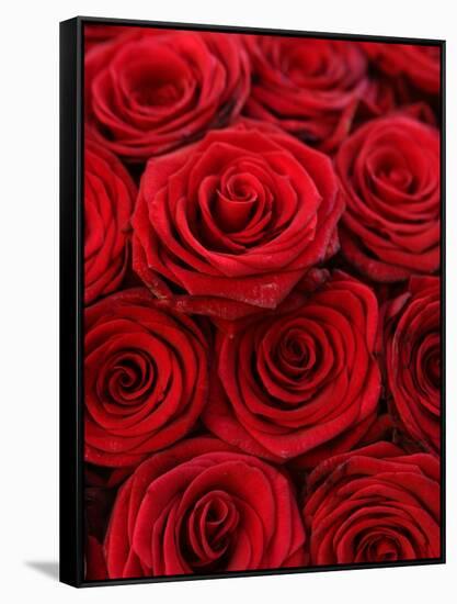 Bouquet of Red Roses-Owen Franken-Framed Stretched Canvas