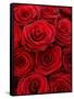 Bouquet of Red Roses-Owen Franken-Framed Stretched Canvas