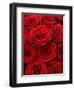 Bouquet of Red Roses-Owen Franken-Framed Premium Photographic Print