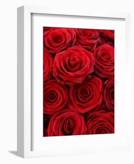 Bouquet of Red Roses-Owen Franken-Framed Premium Photographic Print