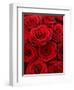 Bouquet of Red Roses-Owen Franken-Framed Premium Photographic Print