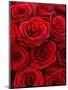 Bouquet of Red Roses-Owen Franken-Mounted Premium Photographic Print