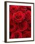 Bouquet of Red Roses-Owen Franken-Framed Premium Photographic Print