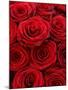 Bouquet of Red Roses-Owen Franken-Mounted Premium Photographic Print