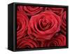 Bouquet of Red Roses-Owen Franken-Framed Stretched Canvas