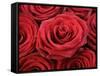 Bouquet of Red Roses-Owen Franken-Framed Stretched Canvas