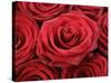 Bouquet of Red Roses-Owen Franken-Stretched Canvas