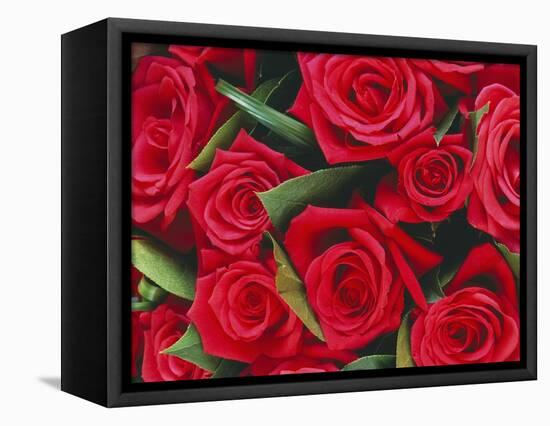 Bouquet of Red Roses-Clive Nichols-Framed Stretched Canvas