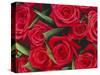 Bouquet of Red Roses-Clive Nichols-Stretched Canvas