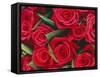 Bouquet of Red Roses-Clive Nichols-Framed Stretched Canvas