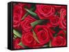 Bouquet of Red Roses-Clive Nichols-Framed Stretched Canvas