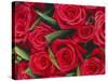 Bouquet of Red Roses-Clive Nichols-Stretched Canvas