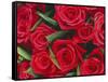 Bouquet of Red Roses-Clive Nichols-Framed Stretched Canvas