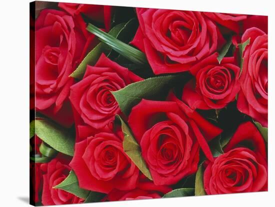 Bouquet of Red Roses-Clive Nichols-Stretched Canvas