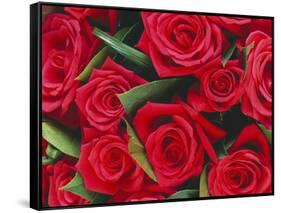 Bouquet of Red Roses-Clive Nichols-Framed Stretched Canvas