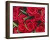 Bouquet of Red Roses-Clive Nichols-Framed Premium Photographic Print