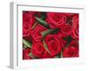Bouquet of Red Roses-Clive Nichols-Framed Premium Photographic Print