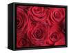 Bouquet of Red Roses-Clive Nichols-Framed Stretched Canvas