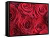 Bouquet of Red Roses-Clive Nichols-Framed Stretched Canvas