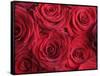 Bouquet of Red Roses-Clive Nichols-Framed Stretched Canvas