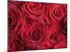 Bouquet of Red Roses-Clive Nichols-Mounted Premium Photographic Print