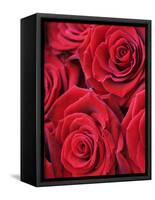 Bouquet of Red Roses-Clive Nichols-Framed Stretched Canvas