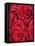 Bouquet of Red Roses-Clive Nichols-Framed Stretched Canvas