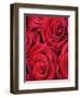 Bouquet of Red Roses-Clive Nichols-Framed Premium Photographic Print