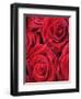 Bouquet of Red Roses-Clive Nichols-Framed Premium Photographic Print