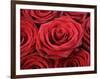 Bouquet of Red Roses-Owen Franken-Framed Photographic Print