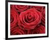 Bouquet of Red Roses-Owen Franken-Framed Photographic Print