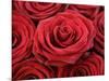 Bouquet of Red Roses-Owen Franken-Mounted Photographic Print