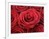 Bouquet of Red Roses-Owen Franken-Framed Photographic Print