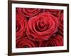 Bouquet of Red Roses-Owen Franken-Framed Photographic Print