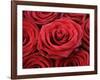 Bouquet of Red Roses-Owen Franken-Framed Photographic Print