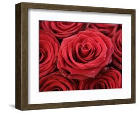 Bouquet of Red Roses-Owen Franken-Framed Photographic Print