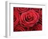 Bouquet of Red Roses-Owen Franken-Framed Photographic Print