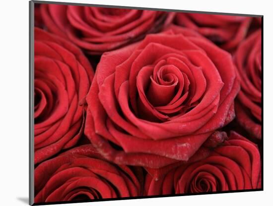 Bouquet of Red Roses-Owen Franken-Mounted Photographic Print