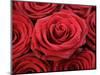 Bouquet of Red Roses-Owen Franken-Mounted Photographic Print