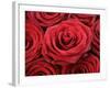 Bouquet of Red Roses-Owen Franken-Framed Photographic Print